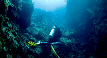 A scuba diver underwater between two reef walls in roatan