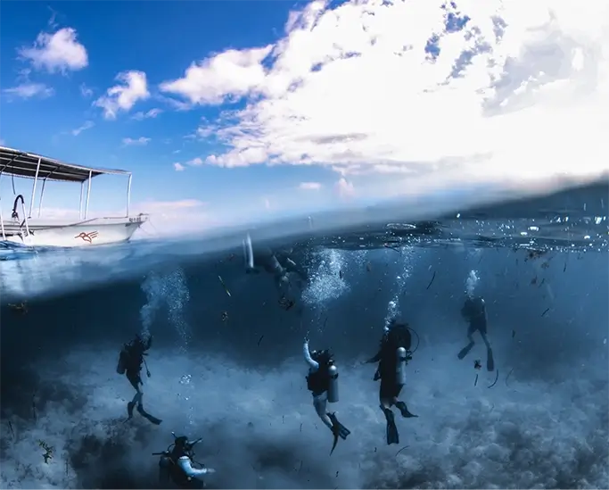 divers exploring Roatan dive sites under a blue sky