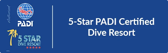 5 Star PADI Dive Resort